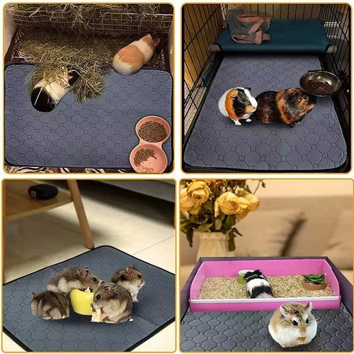 Washable non slip guinea pig - guinea,