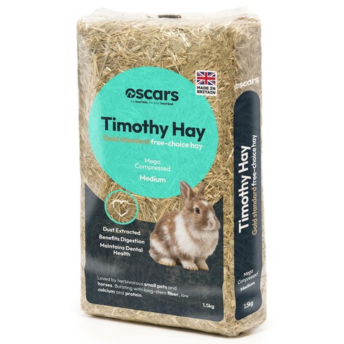 Timothy hay guinea pig - timothy,