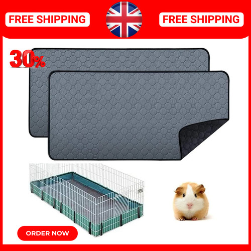 Washable non slip - guinea, pig