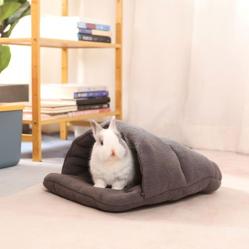 Cat rabbit guinea pig - guinea, soft