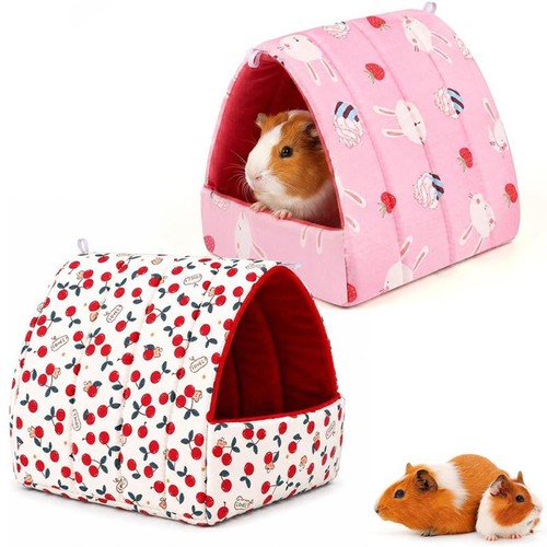 Winter guinea pig nest - winter,