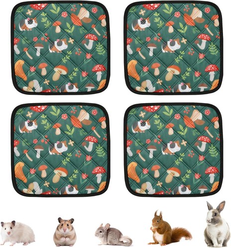 Pack washable guinea - pack,