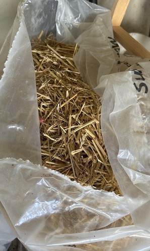 2kg barely straw bedding - barely, for