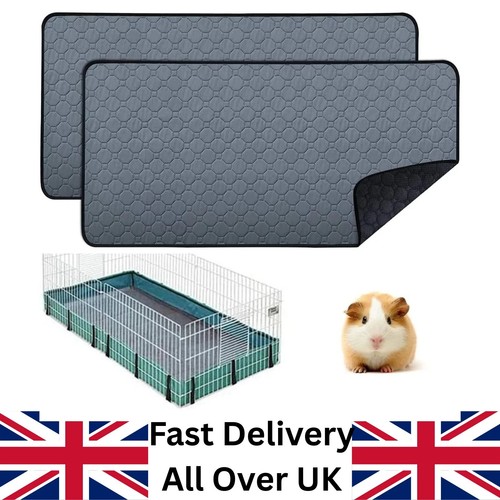 Washable non slip - guinea, pig