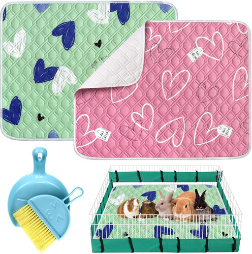 Pack guinea pig - guinea, liner