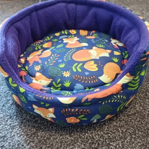 Guinea pig bed hedgehog - ,