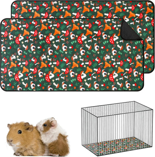 Pack guinea pig - pig, cage