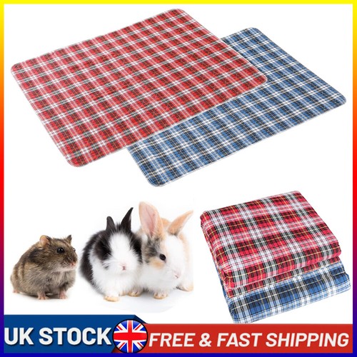 Guinea pig cage - pig,