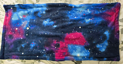 Galaxy print guinea pig - galaxy,