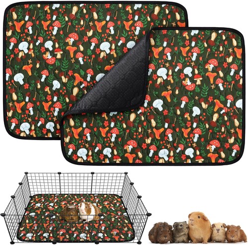 Pcs guinea pig - 2,