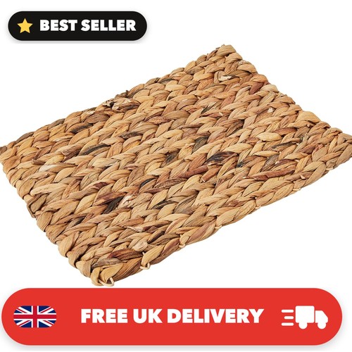 Eco friendly chill - eco-friendly, chew