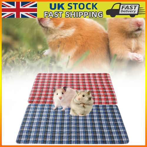 Guinea pig cage - pig,
