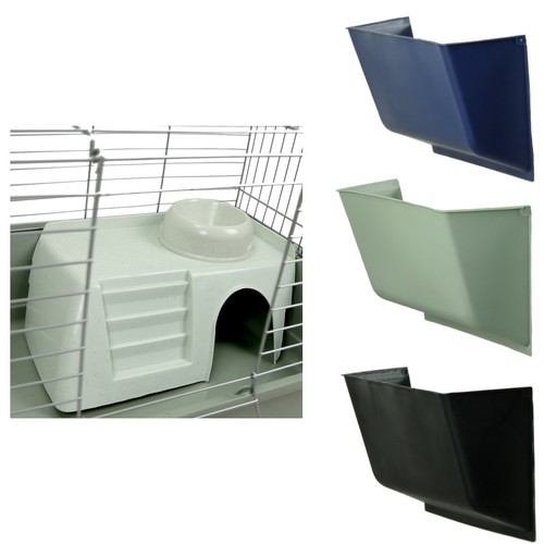 Rabbit guinea pig - rabbit, indoor