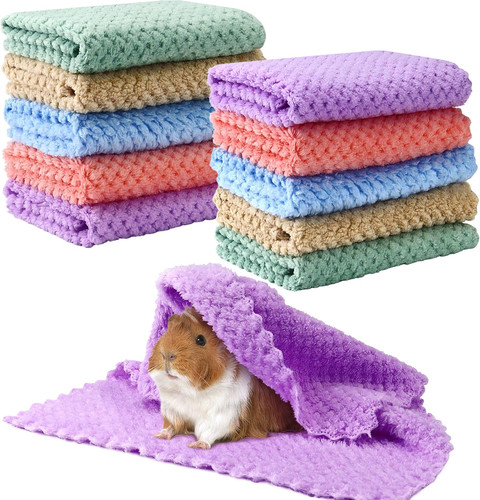 10pcs guinea pig - 10pcs,