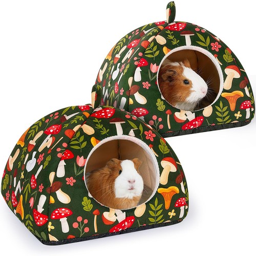 Guinea pig nest - pig, set