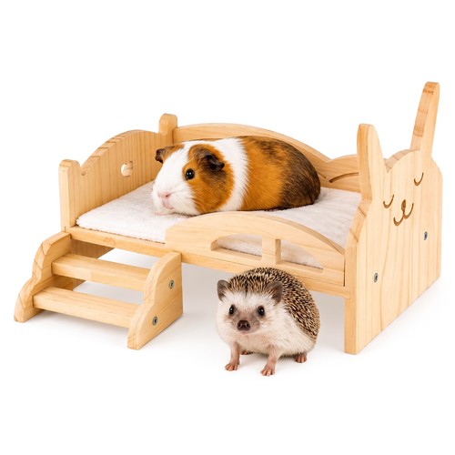 Natural wooden guinea - wooden, pig