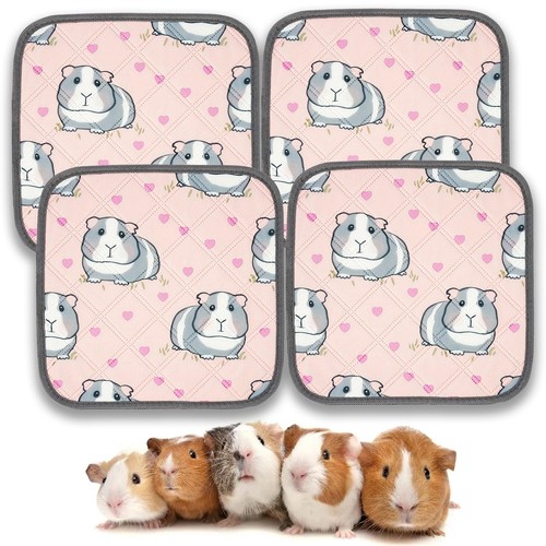 Pack reusable guinea pig - 4,
