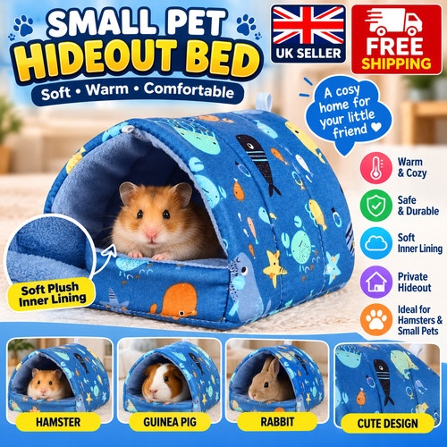 Winter guinea pig nest hamster - pig,