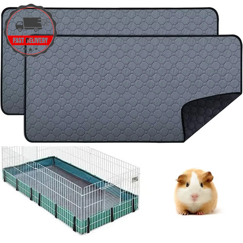 Guinea pig cage lining - guinea,