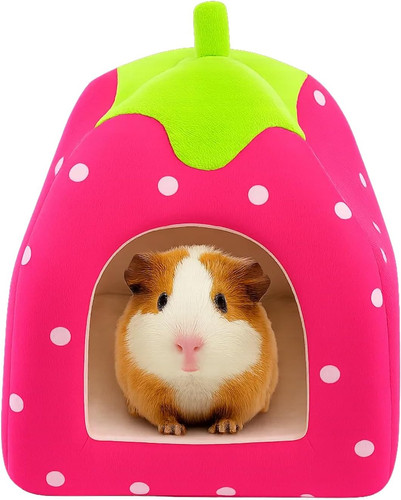 Rabbit bed guinea pig - guinea, and