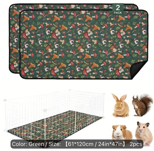 Pack guinea pig and - 2, c