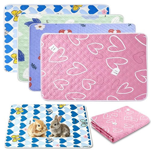Pack guinea pig - guinea, liner