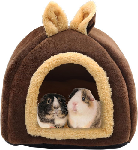 Guinea pig bed house - bed, house,