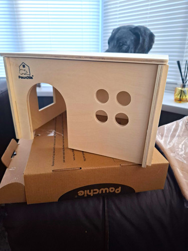 Pawchie wooden guinea - wooden, pig