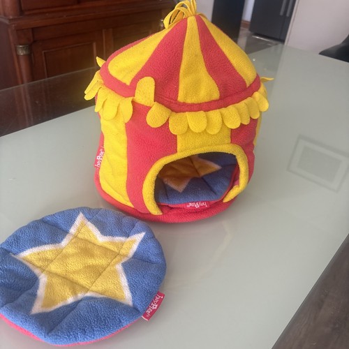 Haypigs guinea pig circus - pig, tent