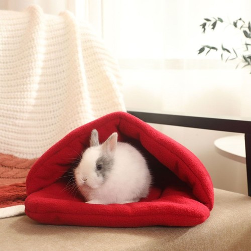 Small animal sleeping - animal, cosy