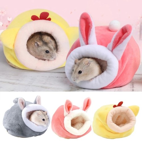 Small pet winter - pet, nest