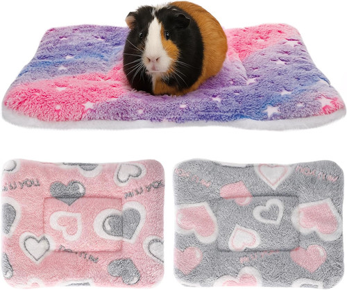 Pcs guinea pig - 3,