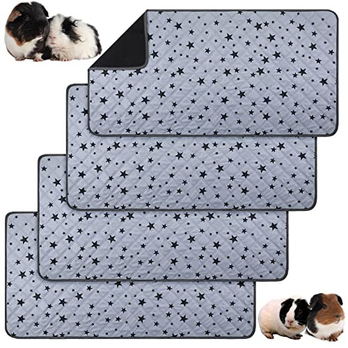 Namalu pieces guinea pig - 4,
