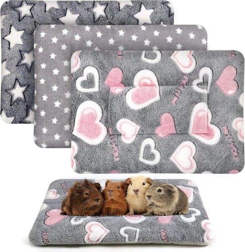 Pcs guinea pig - 3,