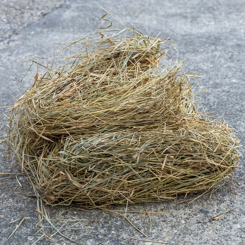 Natural straw pet bedding - natural, 400g