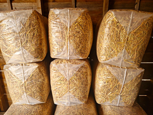 Large 5kg straw animal - large, bedding