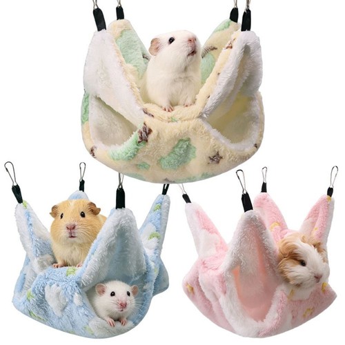 Double layer guinea pig - double,