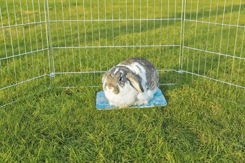Trixie ceramic small animal - small,