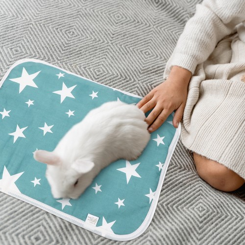 Pcs comfortable pet - 2, pad