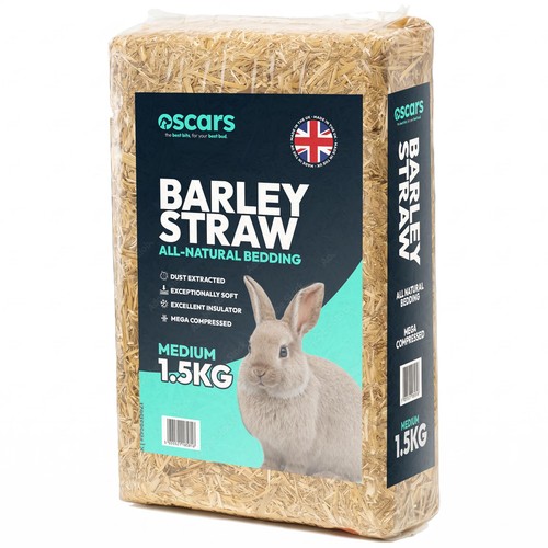 Small pet animal barley - animal, straw