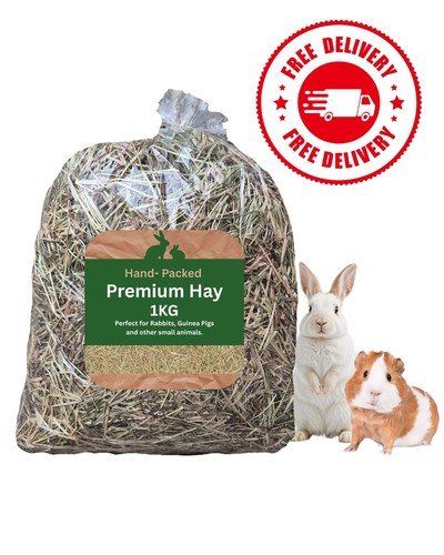 1kg small animal rabbit guinea - animal,