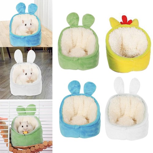 Guinea pig bed warm hamster - pig,